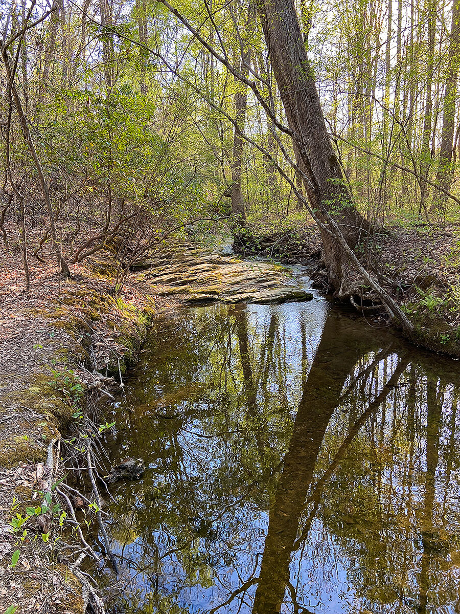 Cunningham Creek, Virginia